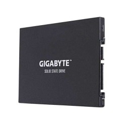 GIGABYTE SSD 256GB UD PRO 2.5 "
