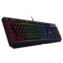 BlackWidow (Green Switch) - French Layout