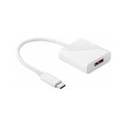USB ADAPTER (C) 3.1 A DISPLAYPORT Goobay